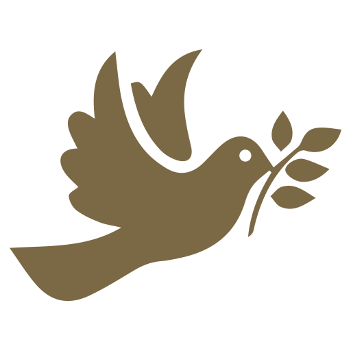 acarakami-bird-brown
