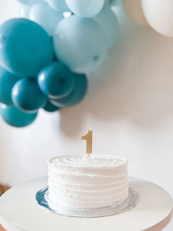 Kenzo First Birthday Party